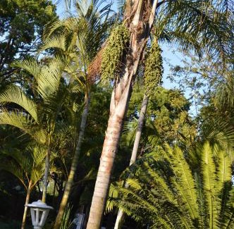Rustenburg House | Franka Guesthouse