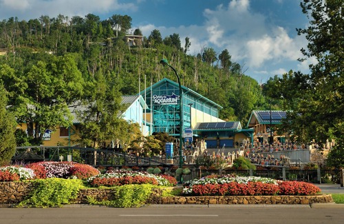 Sevierville Condo | Free Dollywood Tix/Dolly Themed Condo/Downtown