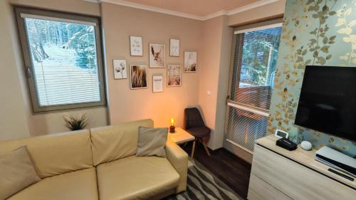 Harrachov Apartment | FREE WELLNESS & SPA MULTIMEDIA APARTMENT - SNÍDANĚ V CENĚ - ZDARMA VSTUP DO WELLNESS, VÍŘIVÉ VANY, SOLNÁ SAUNA, FINSKÁ SAUNA, PARNÍ SAUNA, MASÁŽE, PLAYSTATION 5 a HRY, SKLEP, MODERNÍ VYBAVENÍ, PARKOVÁNÍ ZDARMA, VYBAVENÍ PRO DĚTI, KLIDNÁ LOKALITA