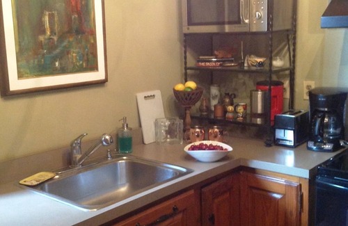 French Quarter Condo | French Quarter Early Creole Slave Quarter, Balcony, Courtyard.