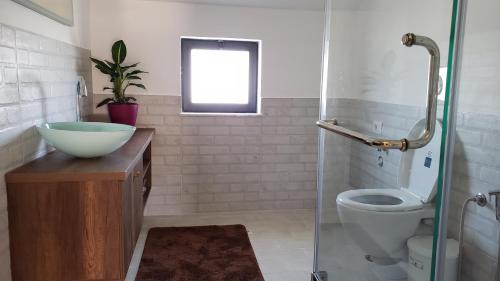 Tirana House | Friends Terrace