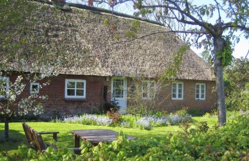 Struckum Apartment | Friesenhaus Anke