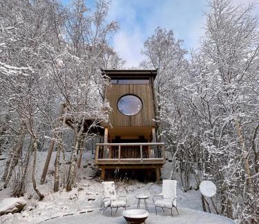 Steinkjer House | Fuglekassehytta