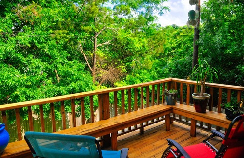 South Lamar House | Full of Color and Light, 5 min from best music, food, and honkey-tonks in Austin