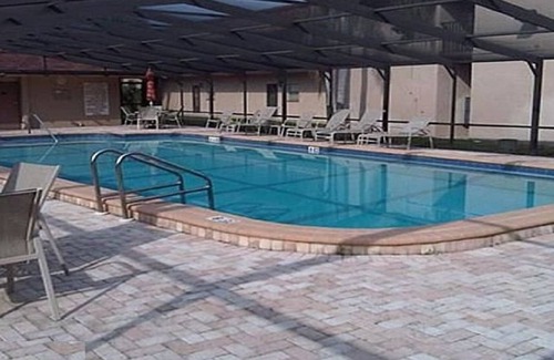 Cove Springs Condo | FULLY REMODELED SNOWBIRD PARADISE - 3/4 Month Rental
