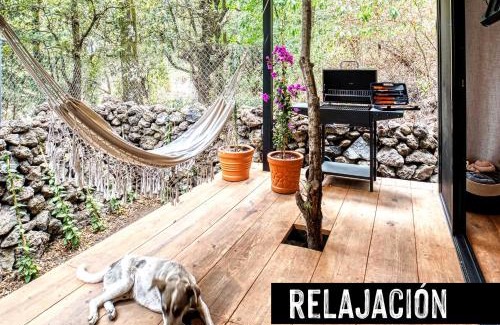 Tepoztlan Apartment | Fungi Tepoz Cabins
