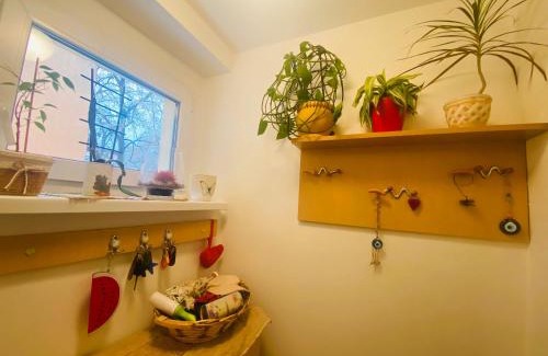 Zemun Apartment | Funkcionalna garsonjera u Zemunu