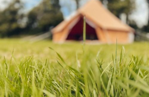 Carlyon Other | Furnished Bell Tent 4