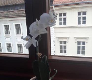 Altstadt Apartment | FW 50 - Mitten in der historischen Altstadt mit Balkon