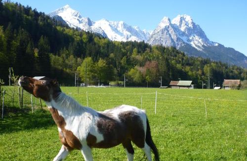 Garmisch-Partenkirchen Bed & Breakfast | Gästehaus Andreas Hofer