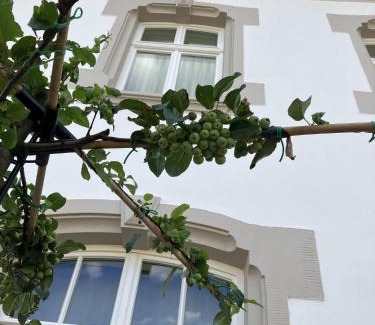 Kanzem Bed & Breakfast | Gästehaus Cantzheim