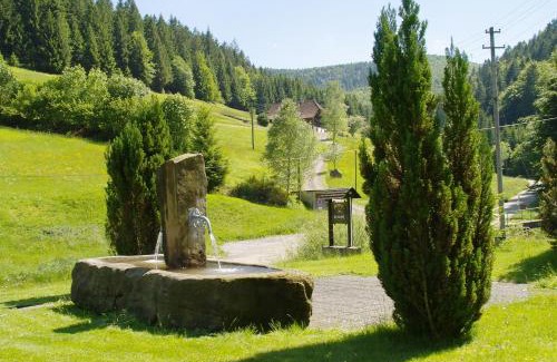 Bad Rippoldsau-Schapbach Apartment | Gästehaus Absbachtal