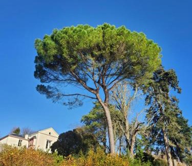 La Chapelle-sur-Loire House | Gîte au coeur de la Touraine