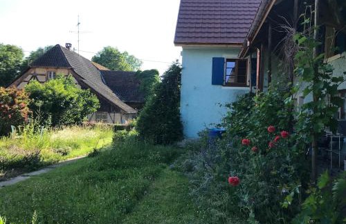 Oltingue House | Gîte Chez Antoinette