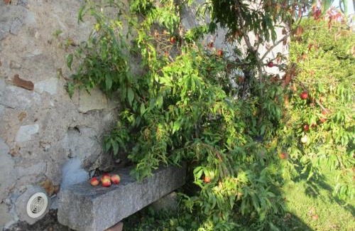 Guilly House | Gîte cosy en Val de Loire, proche Loire, Sologne, Sully/Loire - 1 ch, salon, cuisine, linge inclus - FR-1-590-30