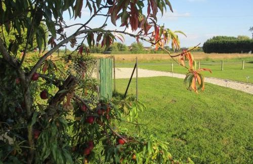 Guilly House | Gîte cosy en Val de Loire, proche Loire, Sologne, Sully/Loire - 1 ch, salon, cuisine, linge inclus - FR-1-590-30