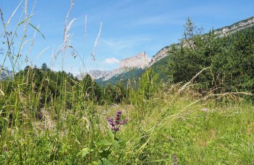 Bouvante House | Gîte des papillons du vercors