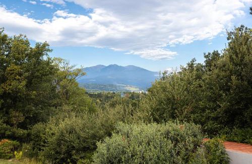 Ceret Apartment | Gîte F2, Dans Un Coin De Paradis