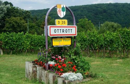 Ottrott House | Gîte Fischer