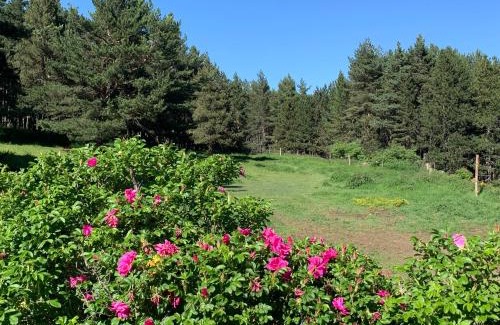 Les Angles Bed & Breakfast | Gîte Ranch Le Serpolet