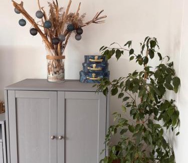 Meyzieu Nord Ouest Apartment | Gîte urbain au calme en rez de jardin proche Groupama stadium salle Arena EUREXPO Lyon