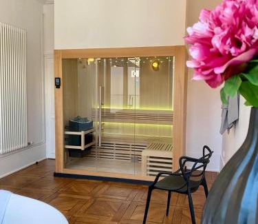 Epinal Apartment | Gîte Vosges en Ville luxueux appartement Duplex avec sauna espace bien être au centre d'Epinal
