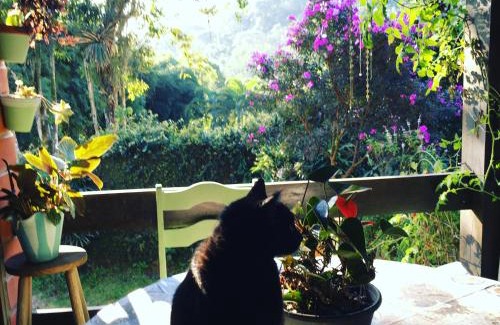 Boa Vista House | Gajah