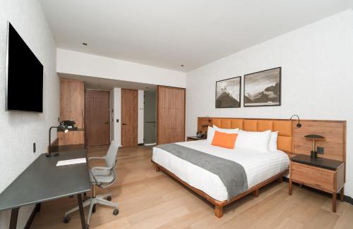 Leon Hotel | Galeria Plaza Leon
