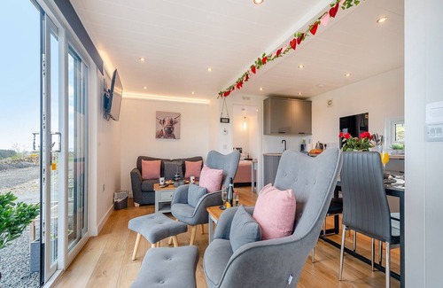 Newton Stewart Cottage | Galloway Views - UK46816