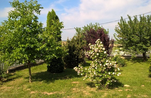 Cserszegtomaj Villa | Ganze Villa ( ca. 160 qm )mit Blick zum Plattensee