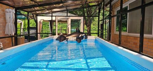 Gapyeong House | Gapyeong Gyegokae Poongdung Pension Camping