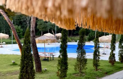 Sang House | Gapyeong Tree House