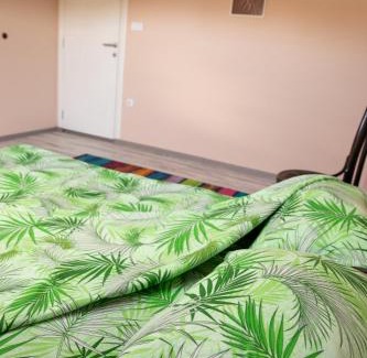 Kraljevo Apartment | Garden apartment & parking
