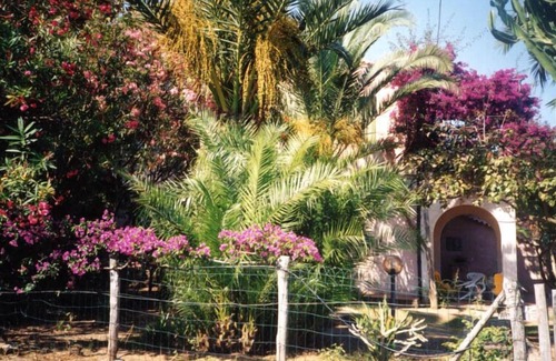 Parghelia Apartment | garden apartment with sea view