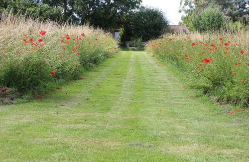 Henlade Cottage | Garden Cottage in stunning rural location but only 5 minutes from Taunton.