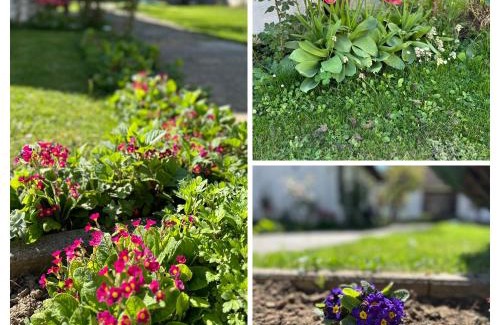 Mejë House | Garden Guesthouse