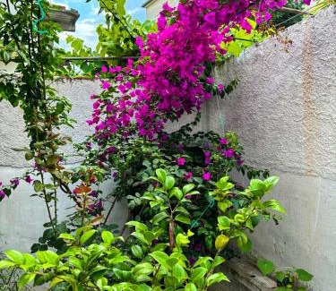 Tirana Apartment | Garden One Bedroom Apartment