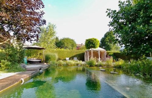 Bled Apartment | Garden Paradise Bled Apartments - garden, pond and castle view