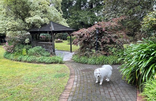 Springfield House | Garden Paradise in Rotorua (with swimming pool)