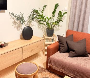 Elliniko-Argyroupoli Apartment | Garden View Apartment