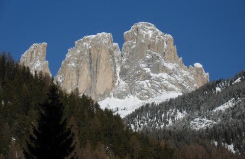 Campitello di Fassa Hotel | Garni Festil