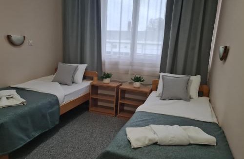 Pirot Hotel | Garni hotel Alma