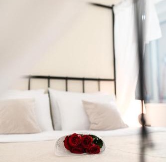 Bistrica Hotel | Garni Hotel Dash