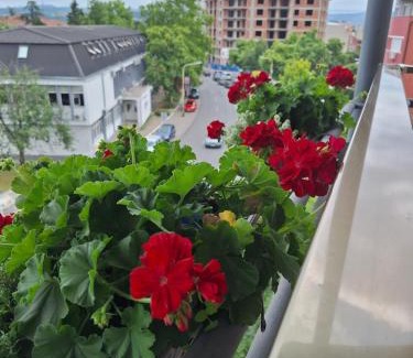 Kragujevac Hotel | Garni Hotel Ema