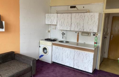 Horni Slavkov Apartment | Garsoniera U lesoparku