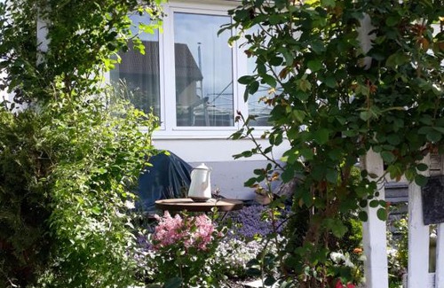 Teningen Apartment | Gartenblick