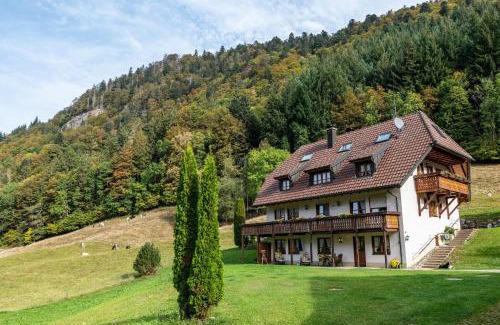 St. Wilhelm Apartment | Gasthaus Zur Linde- Napf