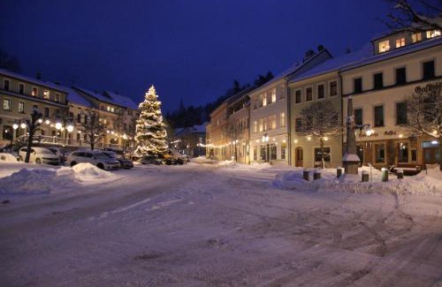 Bad Gottleuba Hotel | Gasthof Hillig