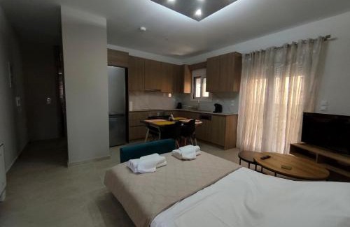 Gastouni Apartment | Gastouni Urban stay