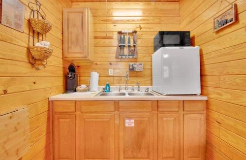 Gatlinburg - Pigeon Forge Other | Gatlinburg Cabin Near Ripley's Aquarium